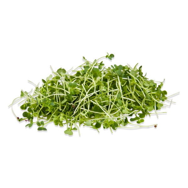 Microgreen Pakcoy (PreOrder 7 hari)