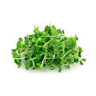 Microgreen Topocai (PreOrder 7 hari)