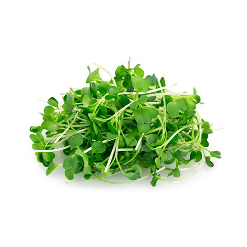 Microgreen Topocai (PreOrder 7 hari) Main Image