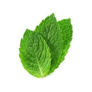 Daun Mint