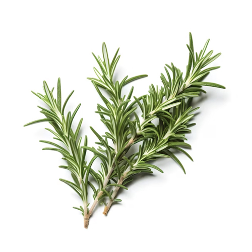 Rosemary