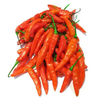 Cabe Rawit Merah