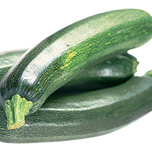 Zucchini