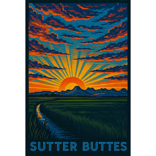 Sutter Buttes #2 - #132
