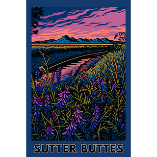 Sutter Buttes #1 - #131