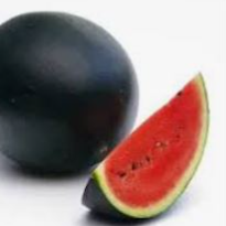 Water Melon