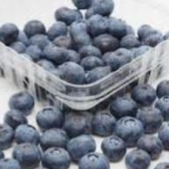 Blueberries 125gm