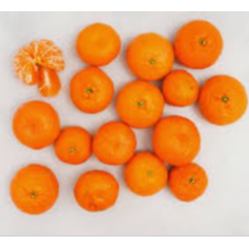 Mini Oranges
