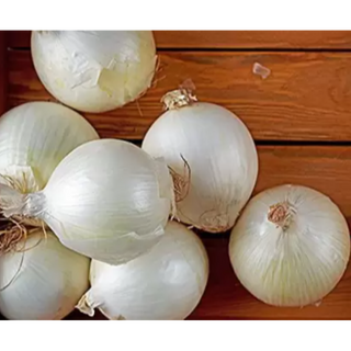 white onion ( सफेद प्याज )