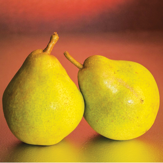 Pear ( नाशपाती )