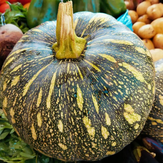 pumpkin ( कद्दू / कासिफल )