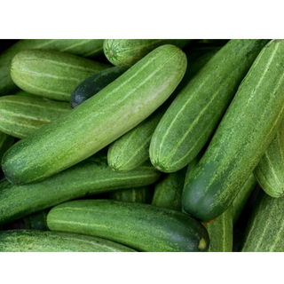 Cucumber ( खीरा )