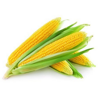 Baby corn 