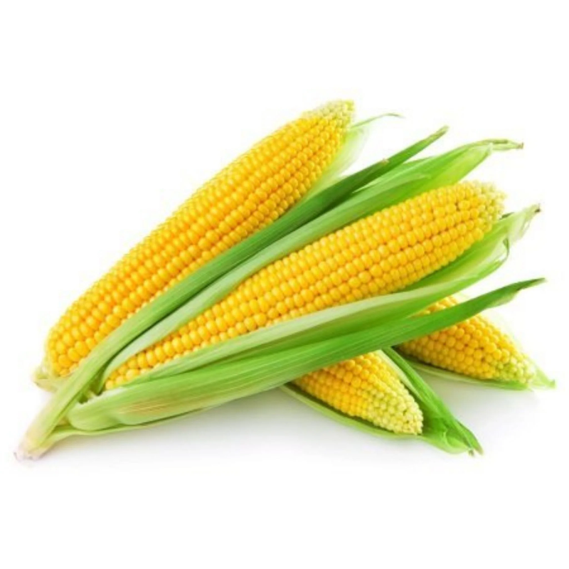 Baby corn  Main Image