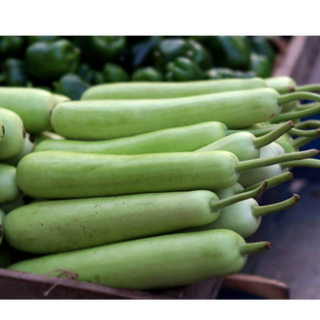 Bottle gourd ( लोकी )