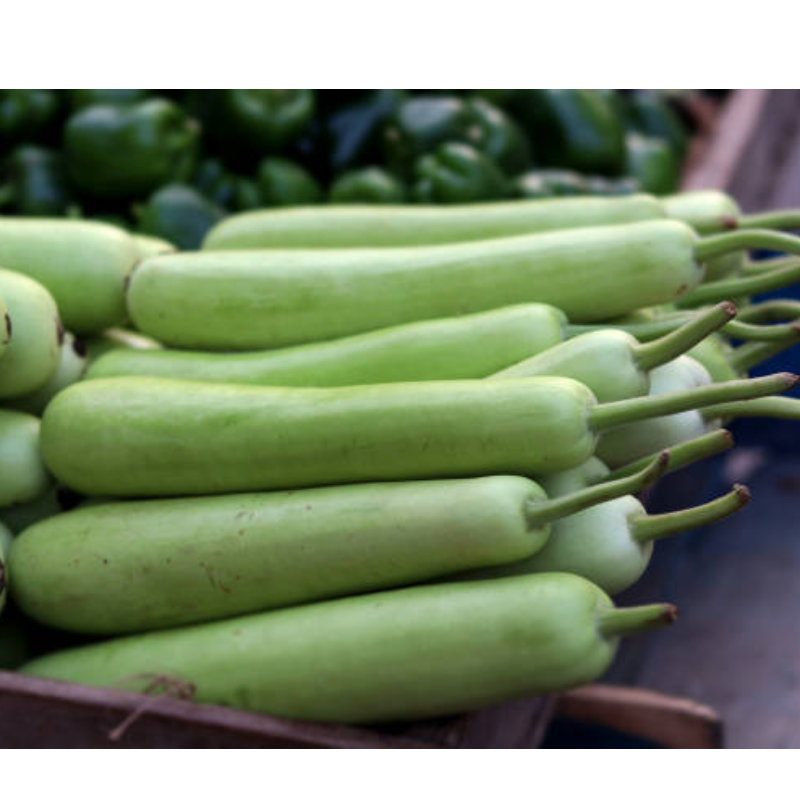 Bottle gourd ( लोकी ) Main Image