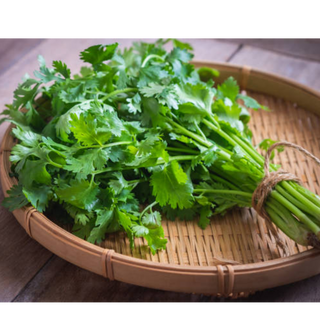 Coriander ( धनिया )