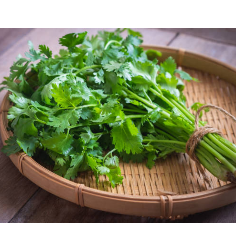 Coriander ( धनिया ) Main Image