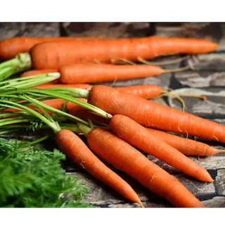 Carrot ( गाजर )