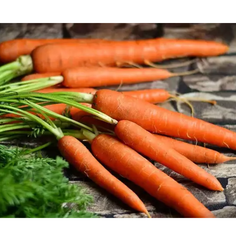 Carrot ( गाजर ) Main Image