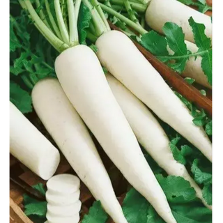 Daikon radish ( मुली )