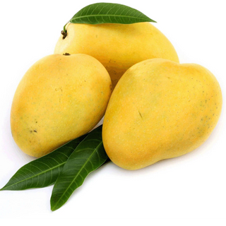 Mango ( आम )