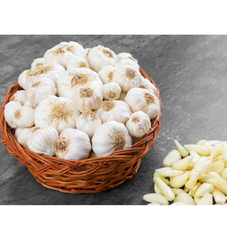 Garlic ( लहसुन )