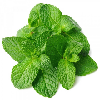 Mint ( पुदीना )