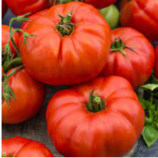 Beefsteak Tomatoes