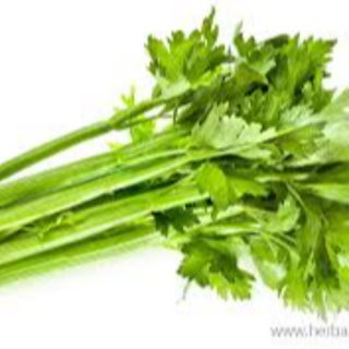 Celery