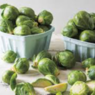 Brussel Sprouts 