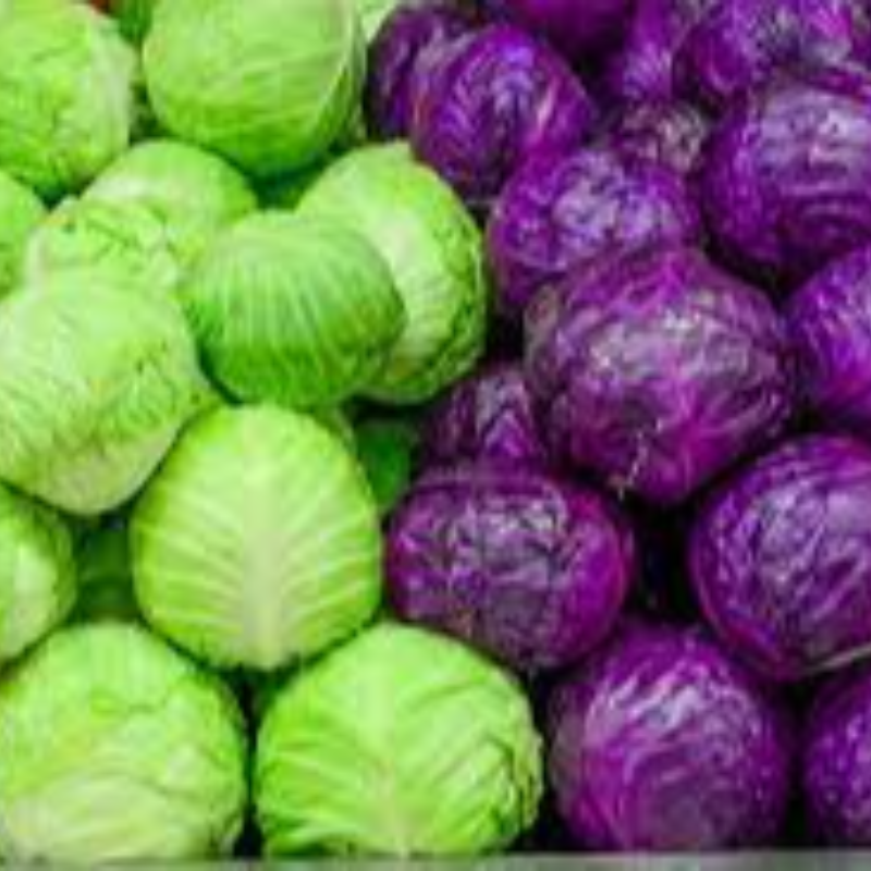 Cabbage Main Image