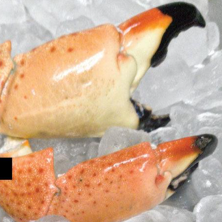 Stone Crab by the lb