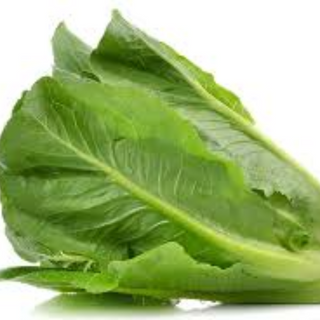 Romaine Lettuce Head 