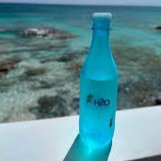 Bahamas H2O 24 x 16.9 pk 