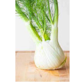 Fennel