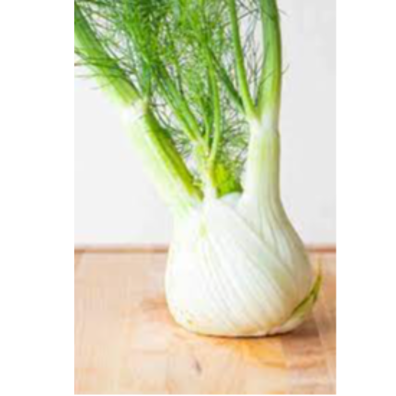 Fennel Main Image