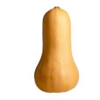 Butternut Squash