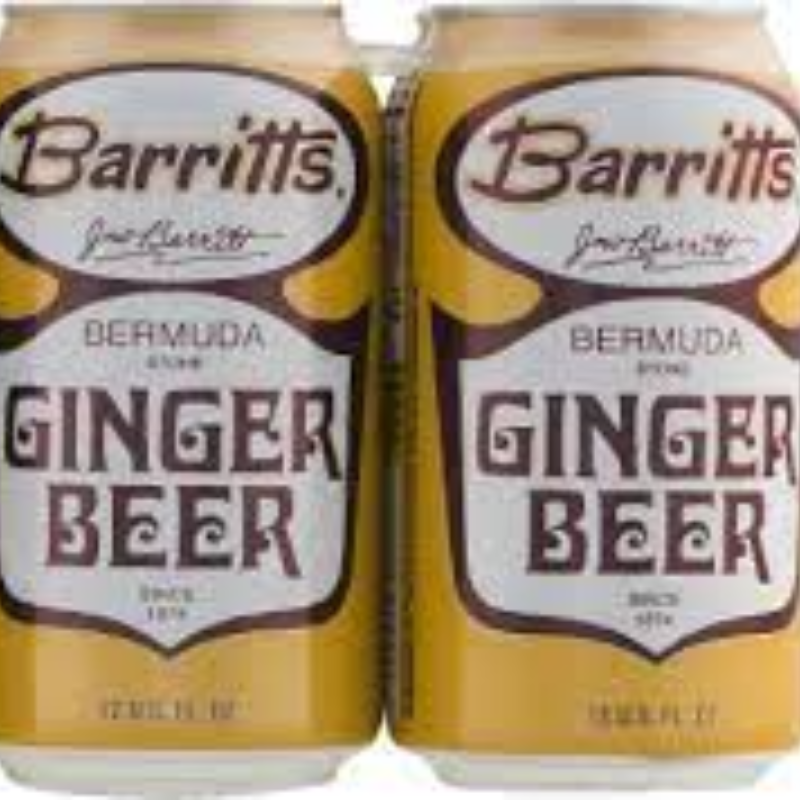 Ginger Beer 6 pk