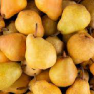 Pears