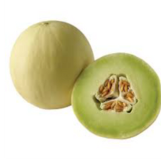 Honeydew Melon