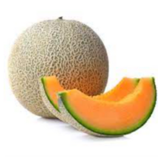 Cantaloupe Mellon