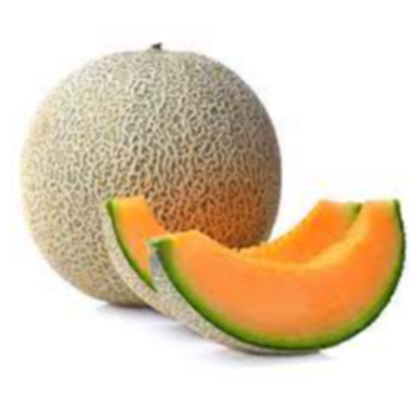 Cantaloupe Mellon Main Image