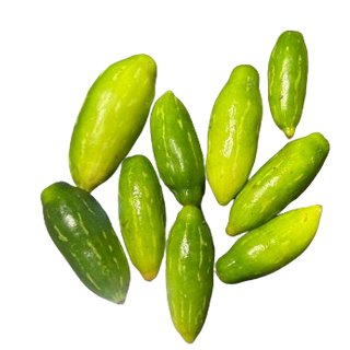 Ivy Gourd (കോവക്ക) - 500 g Bag