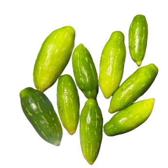 Ivy Gourd (കോവക്ക) - 500 g Bag Main Image