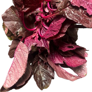 Red Spinach  (ചുവന്ന ചീര) - 1 bunch