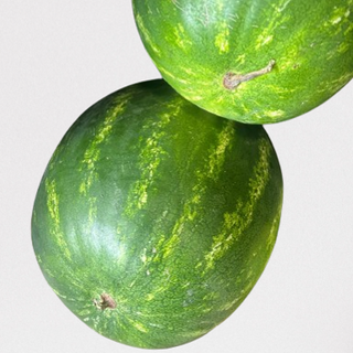 Watermelon (തണ്ണിമത്തൻ) 