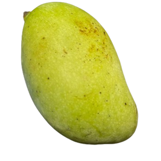 Raw Mango (പച്ച മാങ്ങ)- 1 Kg Bag