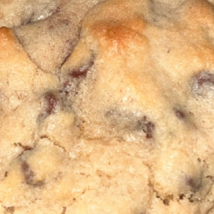 5.5 OZ Chocolate Chip Cookie Main Image