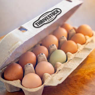 Thrivestock Eggs